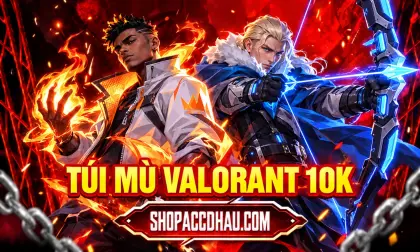 TÚI MÙ VALORANT 10K